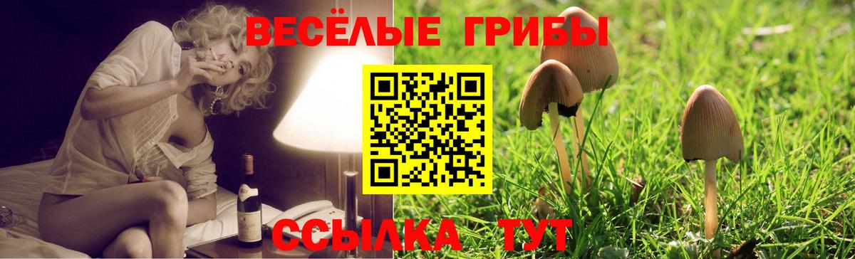 Псилоцибиновые грибы мухоморы  Вход с VPN  Волгоград 